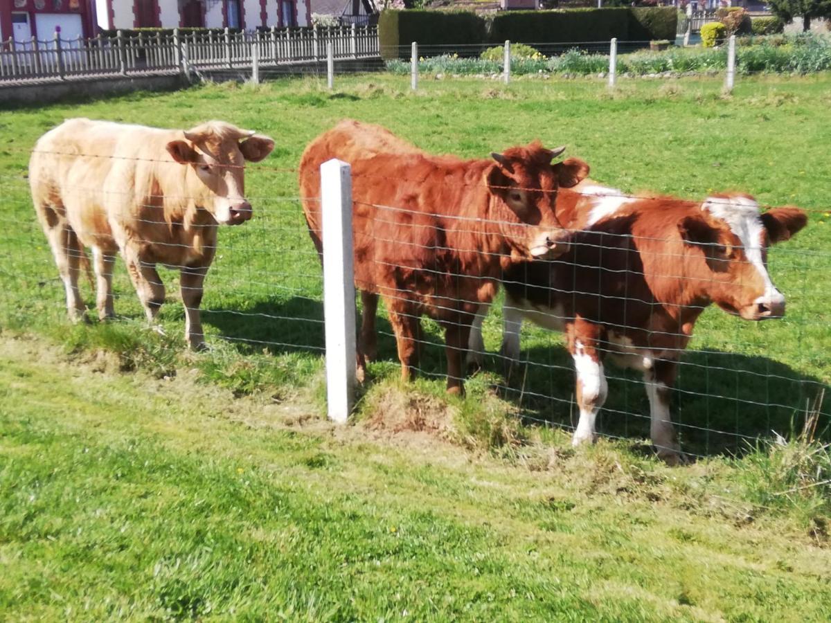 L'Opaline, Jolie Maison avec Jardin 6 pers,10km Honfleur, linge et internet inclus Beuzeville Extérieur photo
