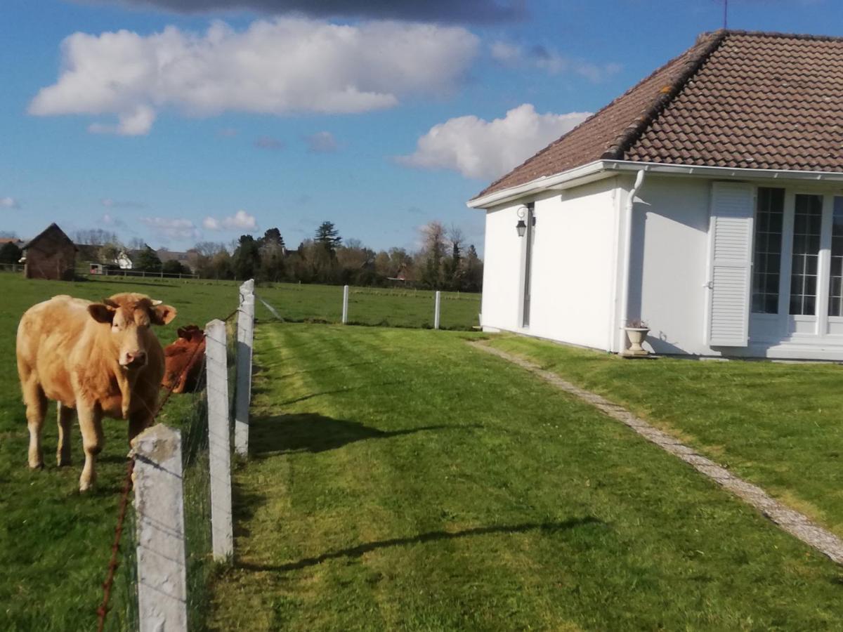 L'Opaline, Jolie Maison avec Jardin 6 pers,10km Honfleur, linge et internet inclus Beuzeville Extérieur photo